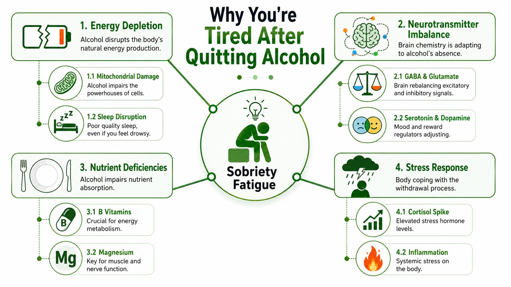 An infographic explaining the physiological reasons for experiencing fatigue after choosing to stop drinking alcohol.