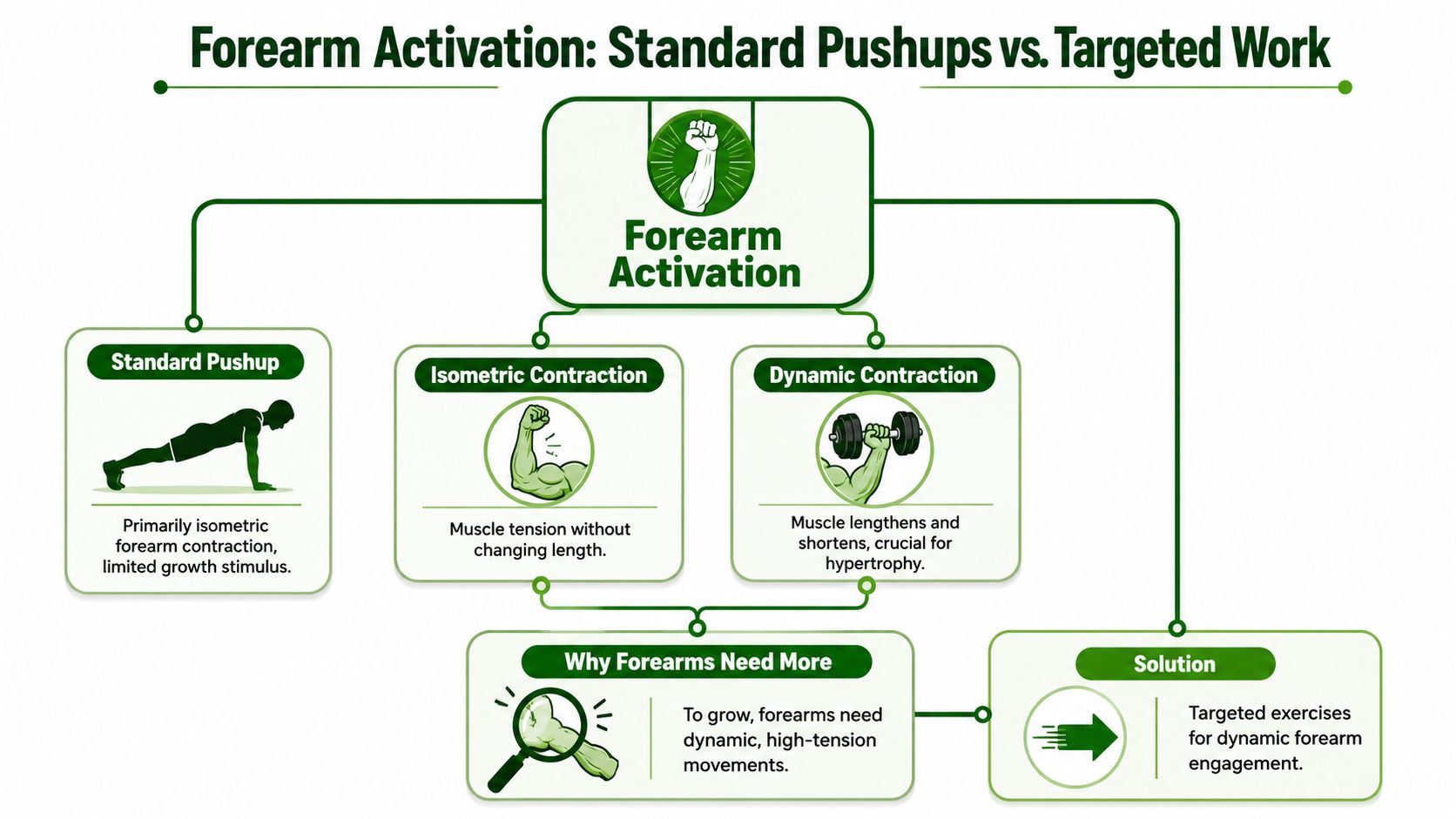 An infographic showing that standard pushups provide limited forearm growth compared to targeted dynamic exercises for development.