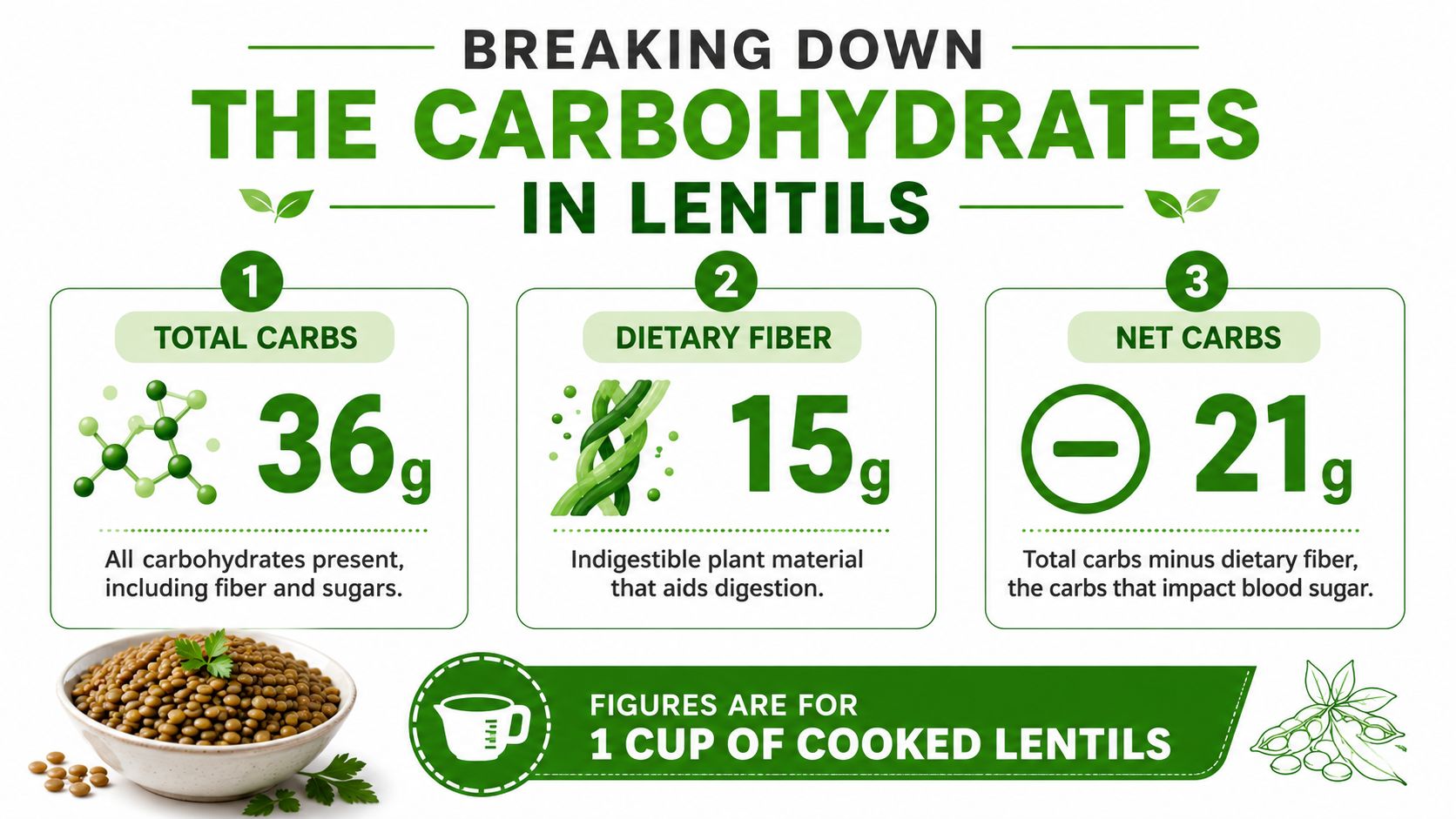 A nutritional infographic showing the carbohydrate breakdown in one cup of cooked lentils.