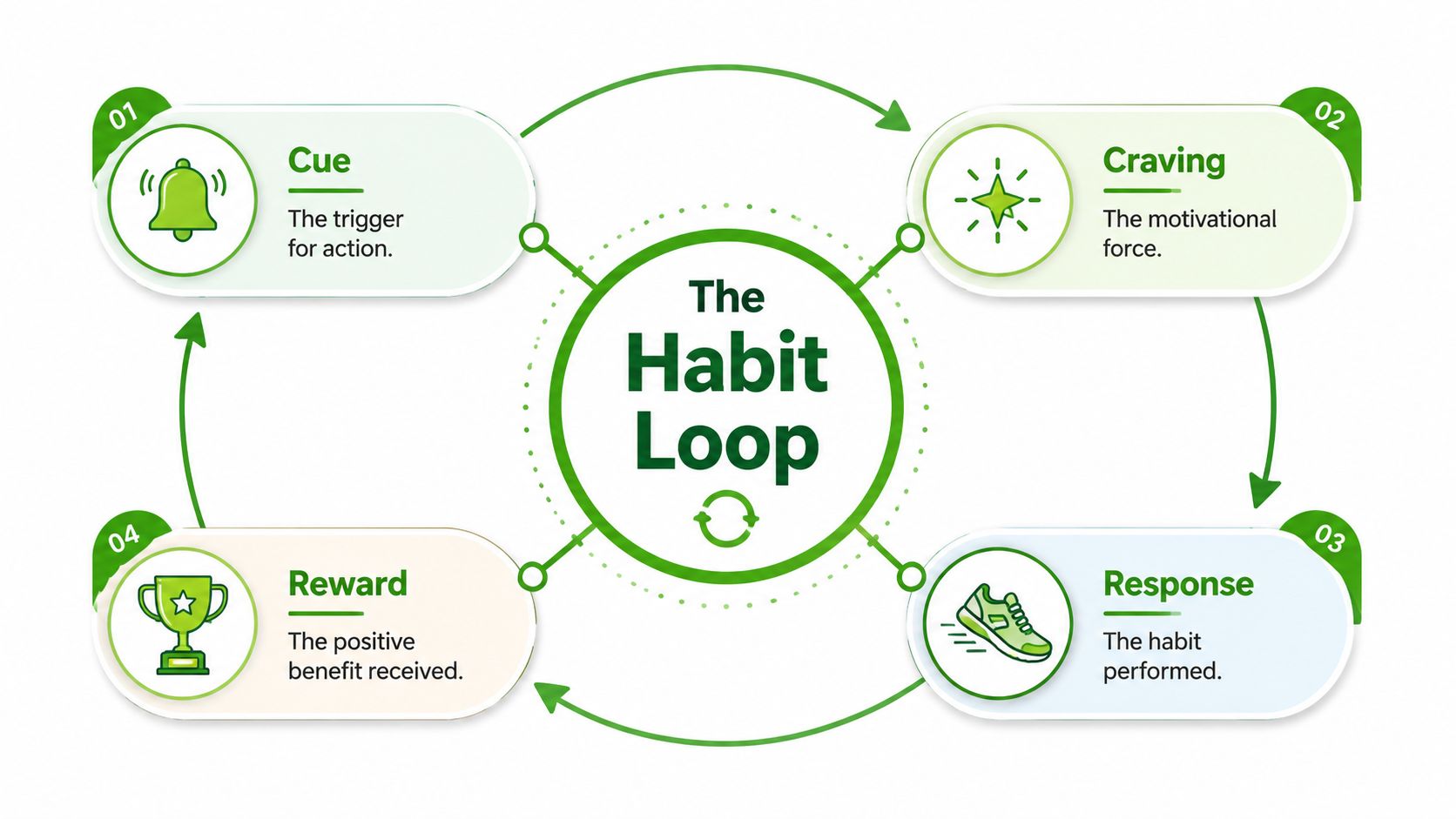 A diagram illustrating the four stages of the habit loop: Cue, Craving, Response, and Reward.